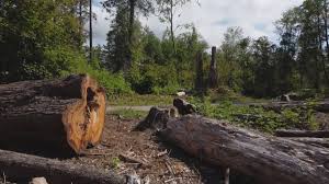 Mulching Services in Hobart, IN