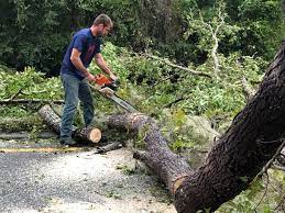 Best Utility Line Clearance  in Hobart, IN